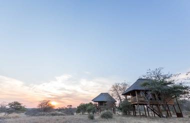 nThambo Tree Camp chalets