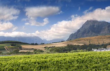 Fynbos cottages