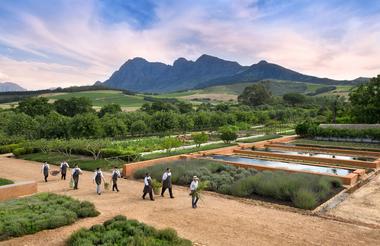 Babylonstoren chefs in the garden