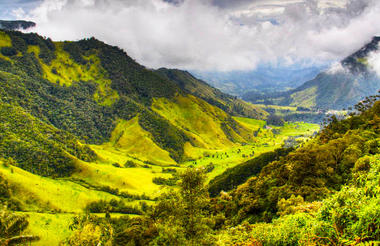 Cocora Valley