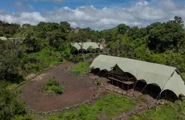 Family Safari Tent