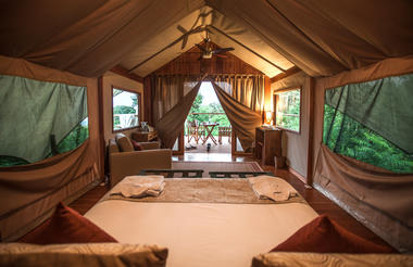 Safari Tent - interior