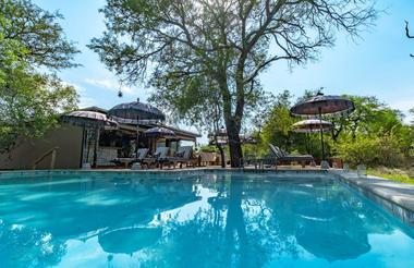 Safari Moon Swimming Pool 