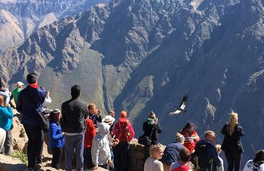 Condor Cross Lookout