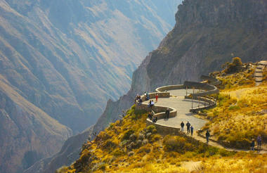 Condor Cross Lookout