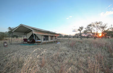 Serengeti Wilderness Camp - guest tent