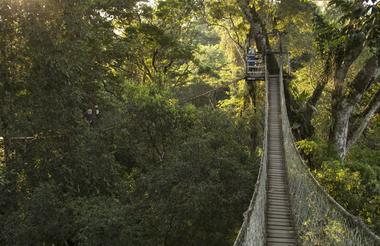  Inkaterra Canopy Walkway