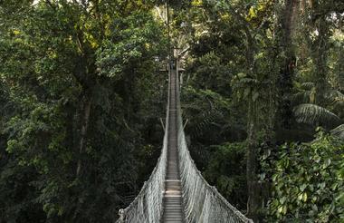  Inkaterra Canopy Walkway