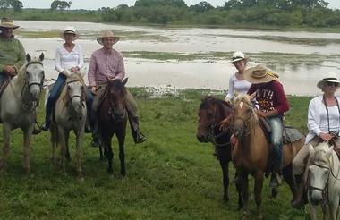 Horseback riding