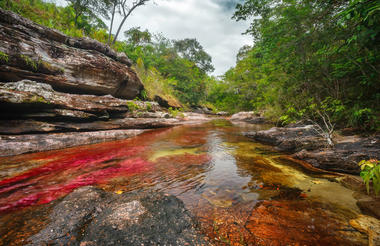 Colored River