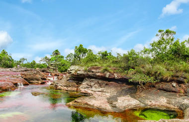 Natural Pool