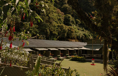 Main Garden View