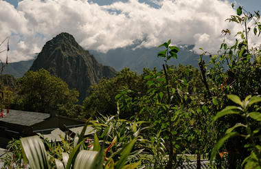 Hotel View