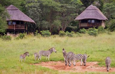 Presidential Suites overlooking waterhole