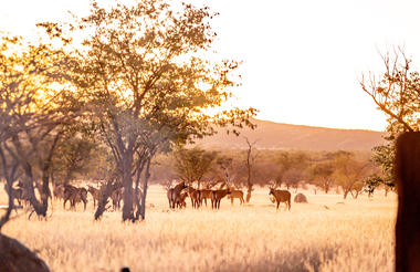 View onto the Waterhole 