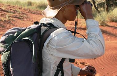 Tok Tokkie Trail
