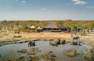 Elephants bathing in the waterhole in front of the camp
