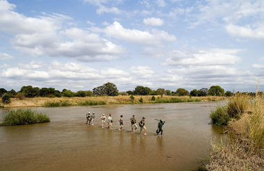 The Mobile Walking Safari