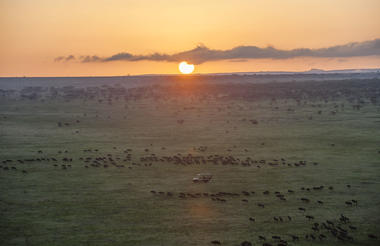 Songa Migrational Camp