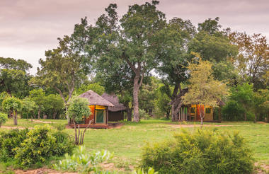 Safari Tent