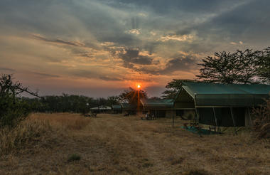 Guest Tents