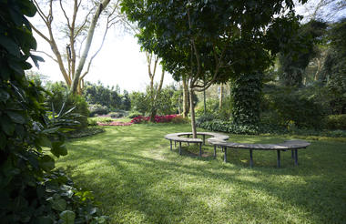 Garden Area