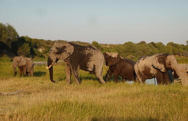 MAKGADIKGADI/BOTETI 