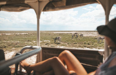 Half Day Game Drive into Etosha