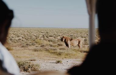 Full Day Game Drive into Etosha