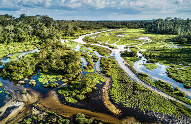 Lango Lodge - Kamba African Rainforest Experiences