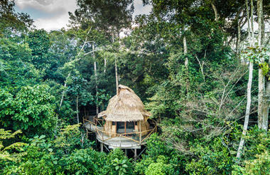 Lango Lodge - Kamba African Rainforest Experiences