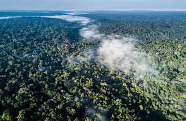 Ngaga Lodge - Kamba African Rainforest Experiences