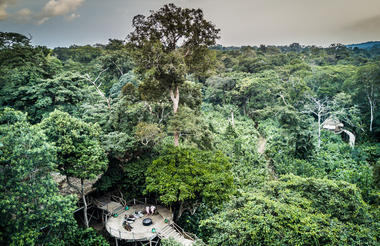 Ngaga Lodge - Kamba African Rainforest Experiences