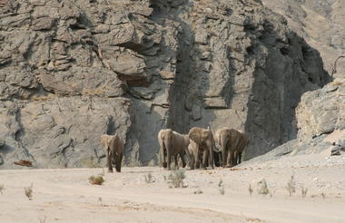 Popular Khowarib Lodge Activity