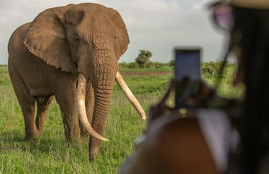 Tawi Lodge Game drives