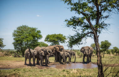 Elewana Collection Serengeti Pioneer Camp