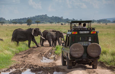 Elewana Serengeti Pioneer Camp