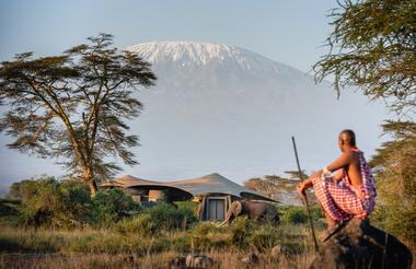 Guest Suite, Elephant, Mount Kilimanjaro and Maasai Warrior