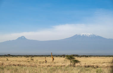 Mount Kilimanjaro 