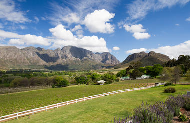 The Vineyard Wing Valley View