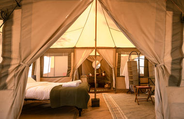 Guest Tent 