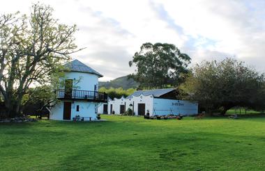 Big Skies, big lawns