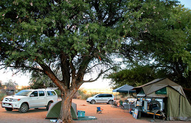 Canyon Road Campsite