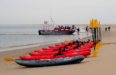 Mola Mola Kayaking Experience