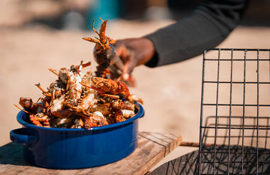 Mola Mola Pelican Point Beach Braai