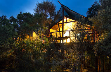 Philosophers' Perch - Family Double Treetop Suite