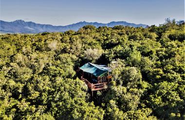 The Eyrie - Family Sharing Treetop Suite