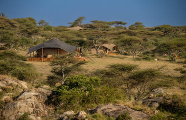 guest tents