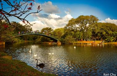 São Paulo - Ibirapuera Park