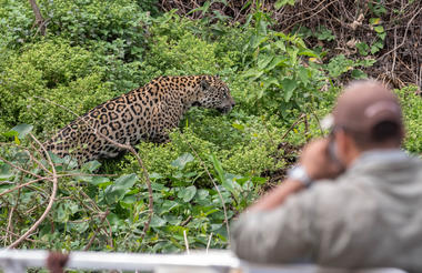 Pantanal River Cruise